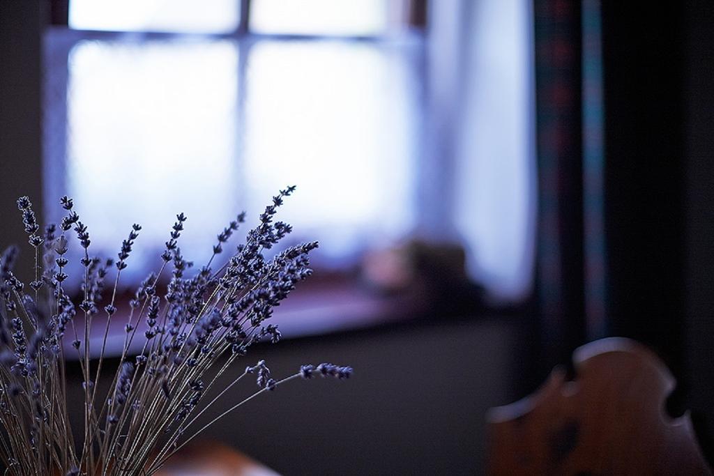 Penzion Primášé Dolni Vestonice Habitación foto