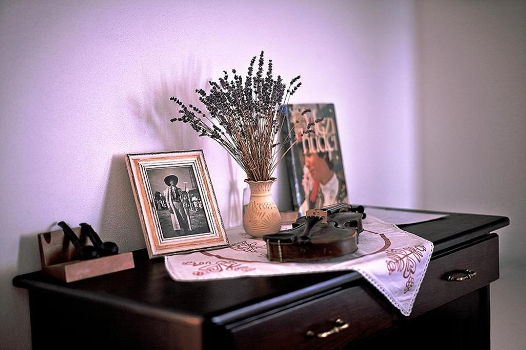 Penzion Primášé Dolni Vestonice Habitación foto